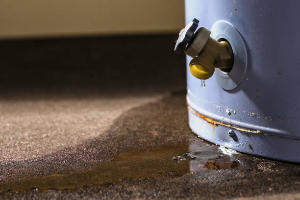 Carpet water damage restoration in Savage, MN