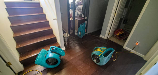 Best 24-hour water damage restoration  in Savage, MN