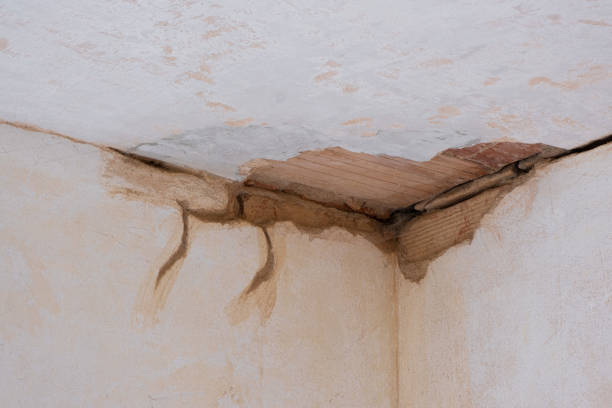Best Flooded house restoration  in Savage, MN