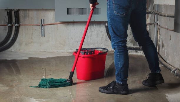 Best 24/7 water damage repair  in Savage, MN