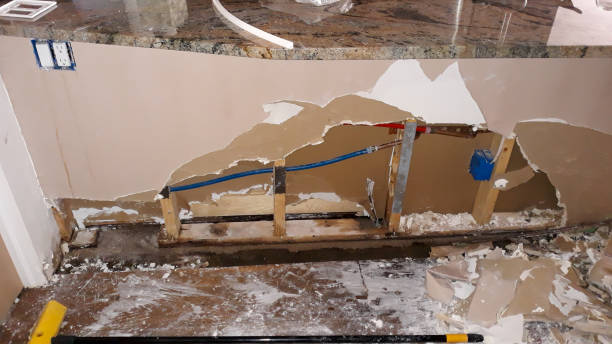 Best Professional water damage repair  in Savage, MN