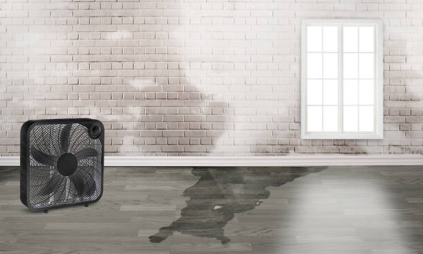 Best Residential water damage restoration  in Savage, MN
