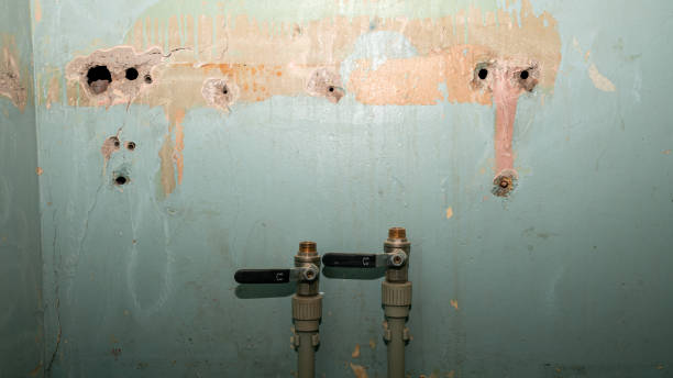 Best Water damage restoration cost  in Savage, MN