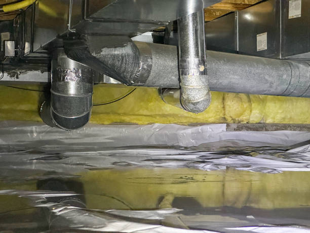 Best Water damage restoration company  in Savage, MN