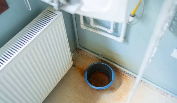 Best Water damage cleanup near me  in Savage, MN