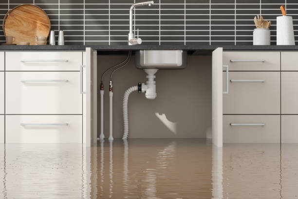Best Sewage cleanup and water damage restoration  in Savage, MN